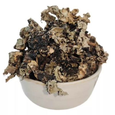 Stone Flower (Kalpasi)